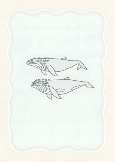 Whale Greeting Card with Floral Accents - Modern Design