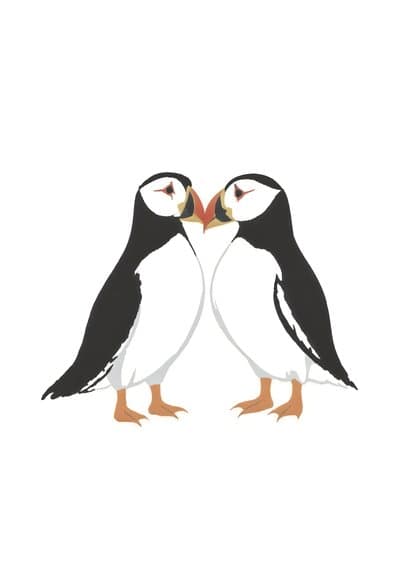 Puffin Love Greeting Card Modern Illustrated Design
