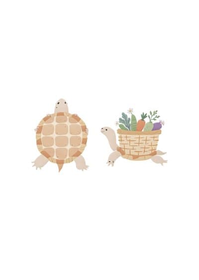 Funny Turtle Greeting Card Cute Illustrated Design