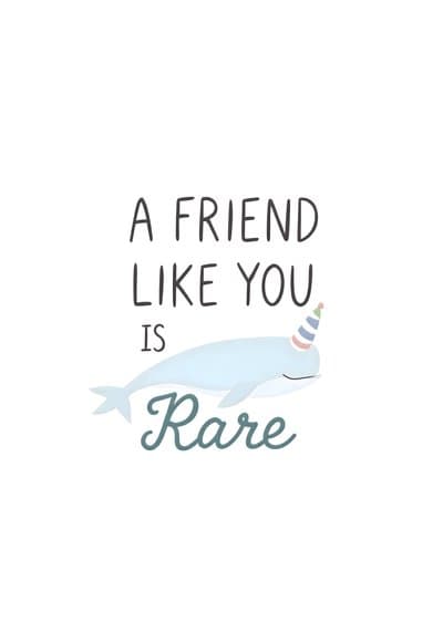 Funny Friendship Card Rare Narwhal A Friend Like You