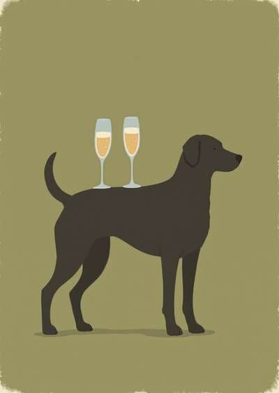 Funny Dog Greeting Card with Champagne Glasses