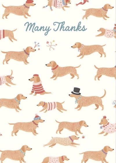 Thank You Card Cute Dachshund Pattern